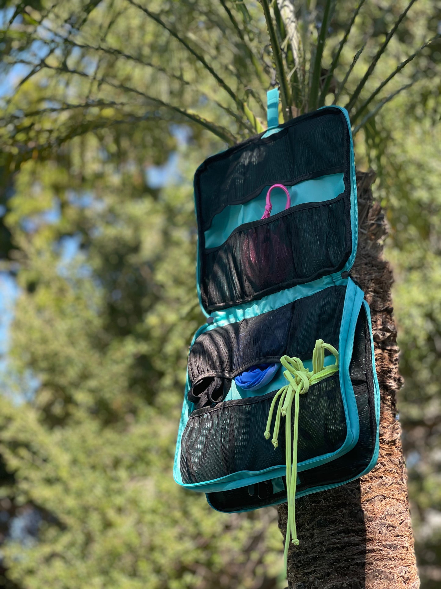 The Bikini Binder